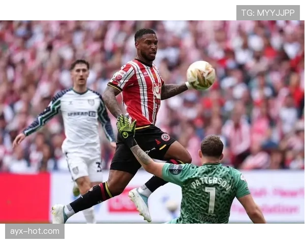 谢菲联重建计划正式启动,剑指重返英超赛场 谢菲联重建计划正式启动,剑指重返英超赛场