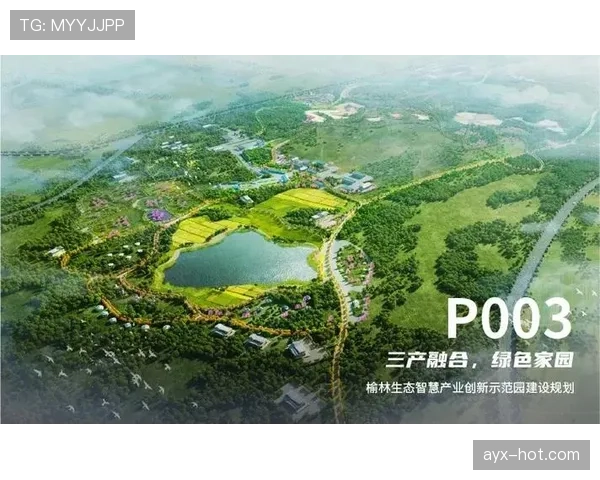 欧洲杯引领绿色变革：碳中和目标下的足球新纪元